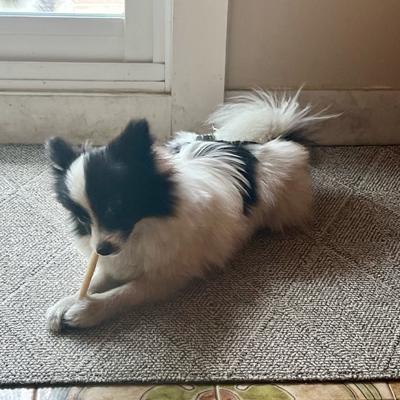 Meet your Posher, Sara - Picture 1 of 1